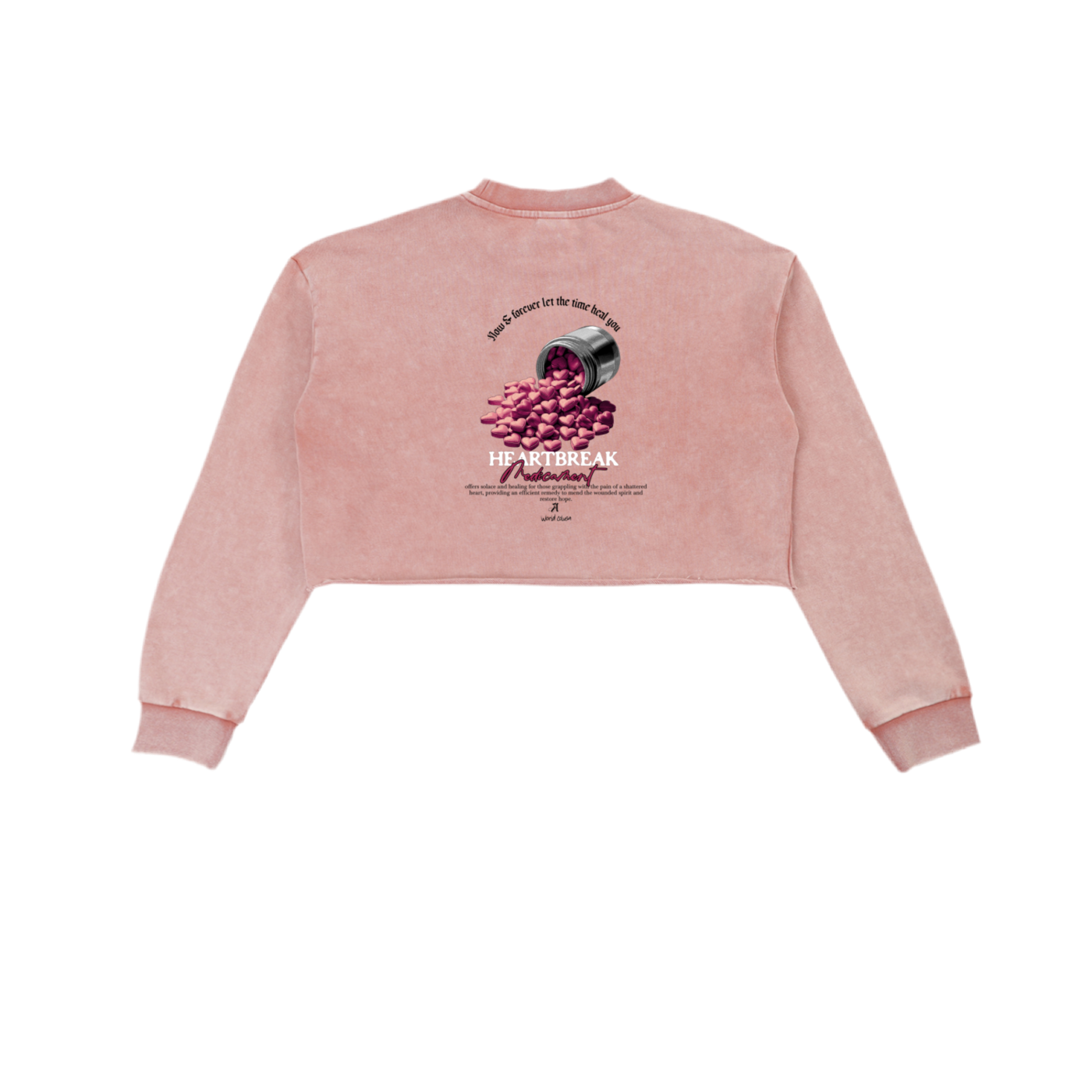 Snow Washed Raw Edge Cropped Sweatshirt