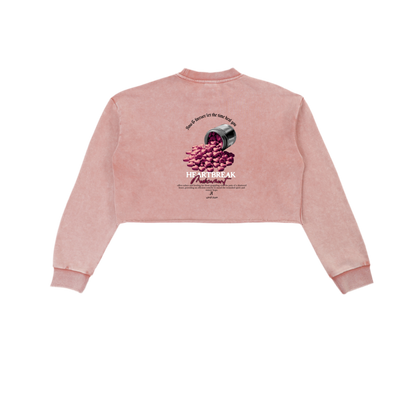 Snow Washed Raw Edge Cropped Sweatshirt
